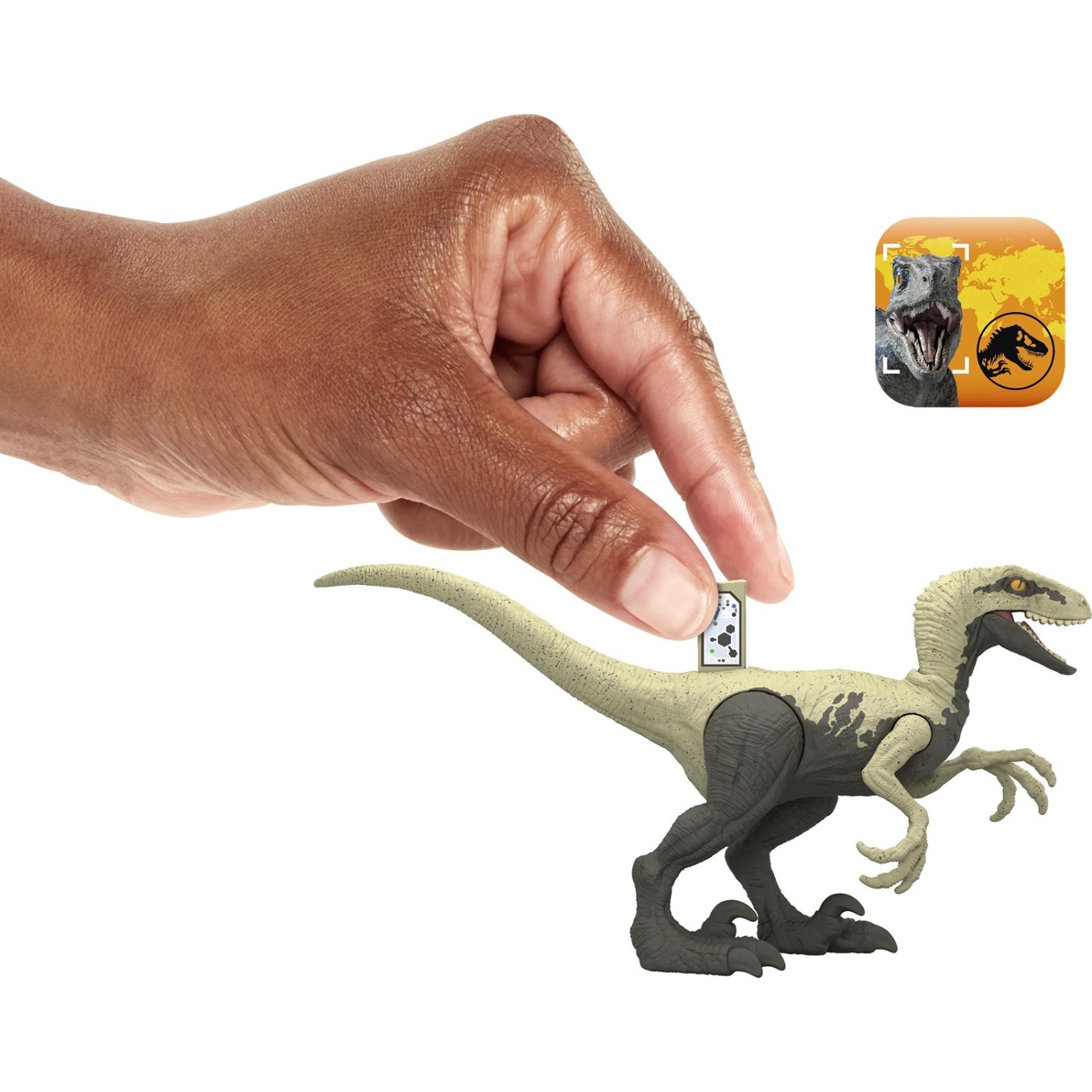 Mattel Jurassic World Βασική Φιγούρα Δεινόσαυρου Velociraptor (HLN49/HLN56)